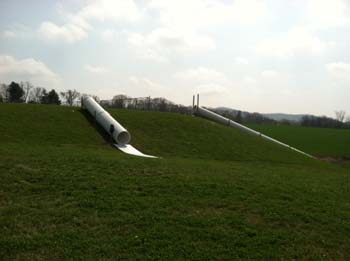 photo 1 (3)
