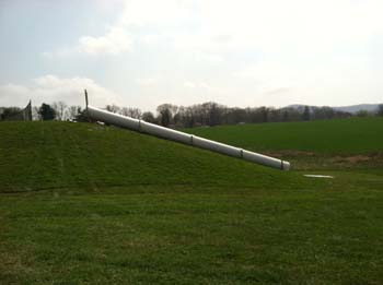 photo 2 (2)