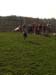 photo 2 (3)